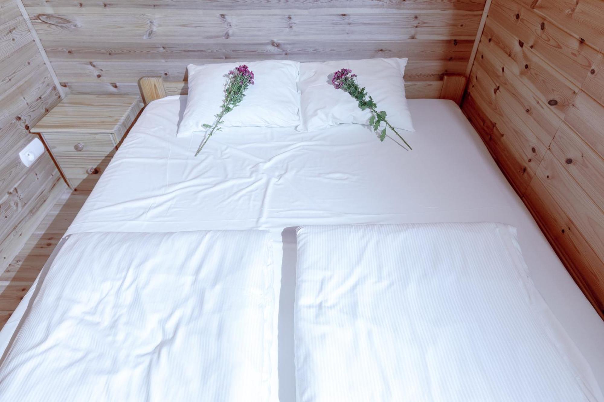 Lodge Letniskowe Modrzew *